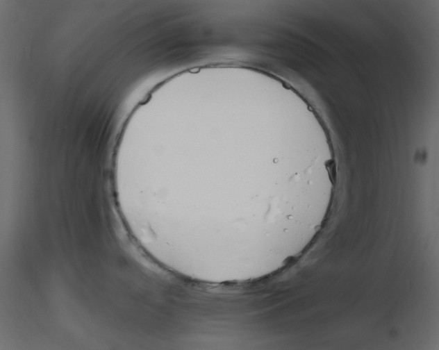 X0000115661488200912241348