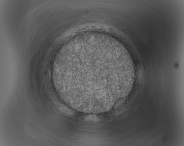 X0000115661489200912241347