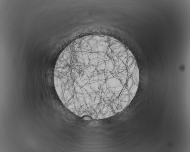 X0000115661490200912241348