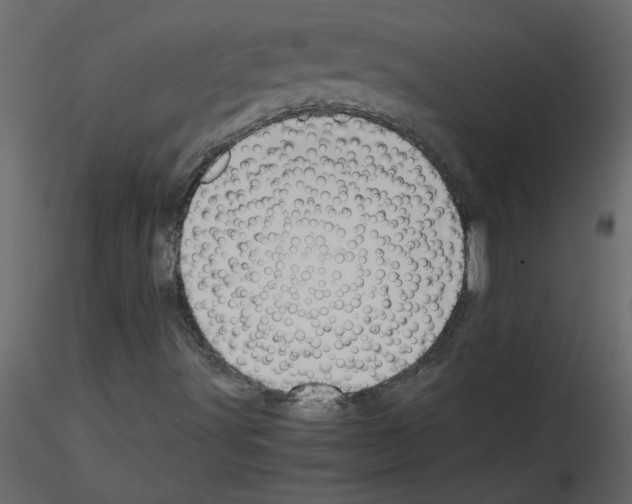 X0000115661491200912241348