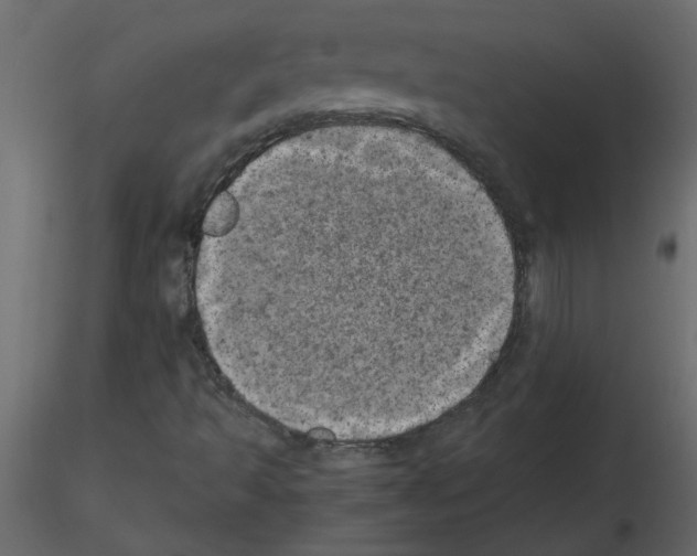 X0000115661493200912241348