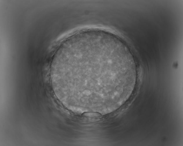 X0000115661494200912241348