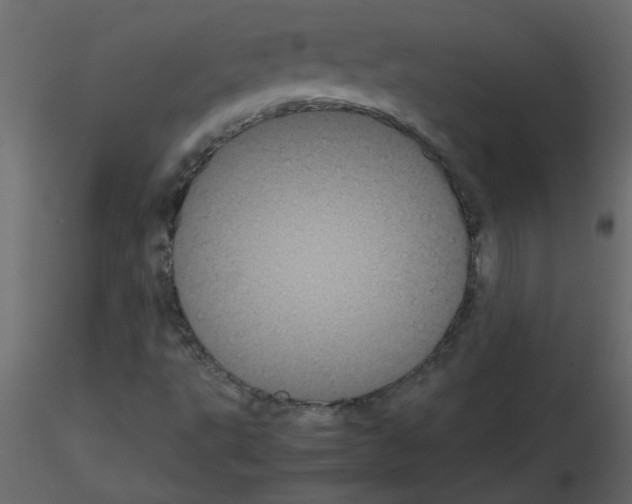 X0000115661495200912241348