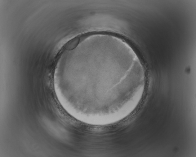 X0000115661497200912241348