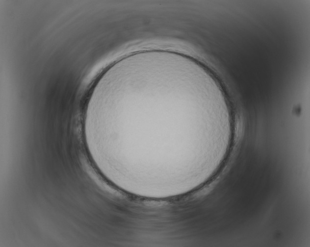 X0000115661498200912241348