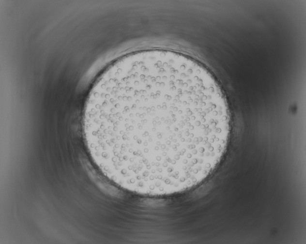 X0000115661499200912241348