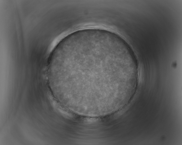 X0000115661501200912241348