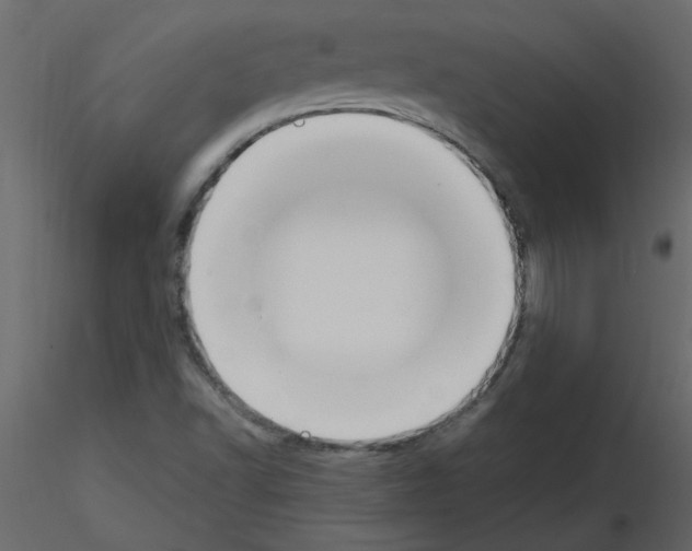 X0000115661502200912241348