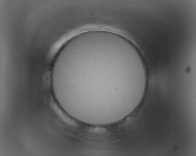 X0000115661503200912241348