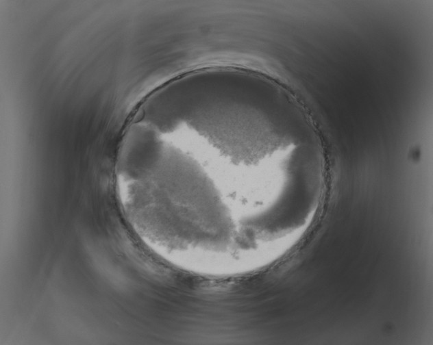 X0000115661505200912241348