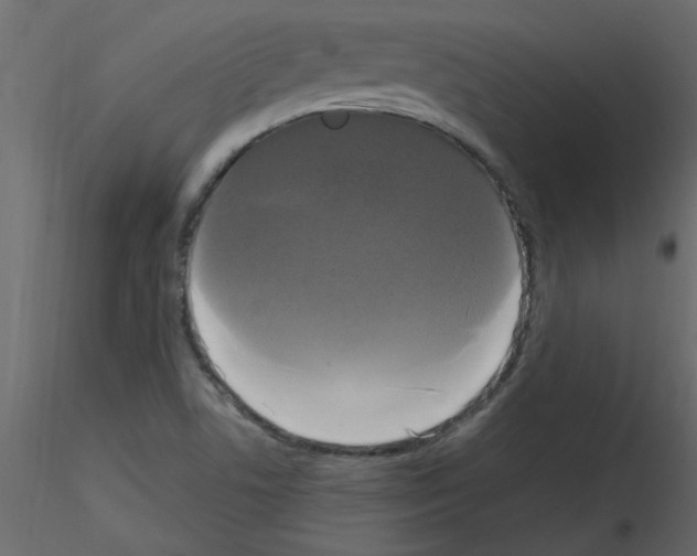 X0000115661506200912241348