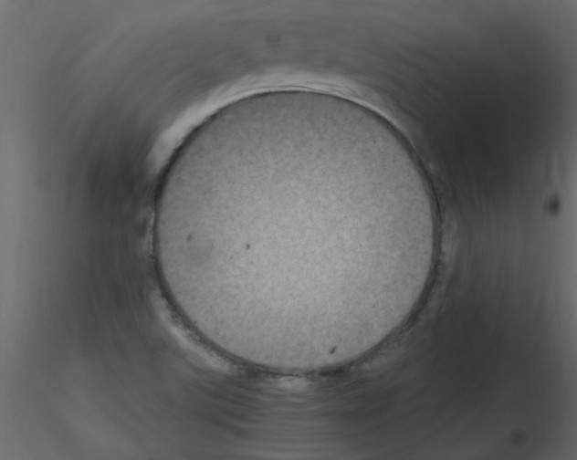 X0000115661507200912241348