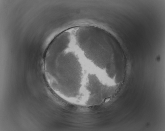 X0000115661509200912241348