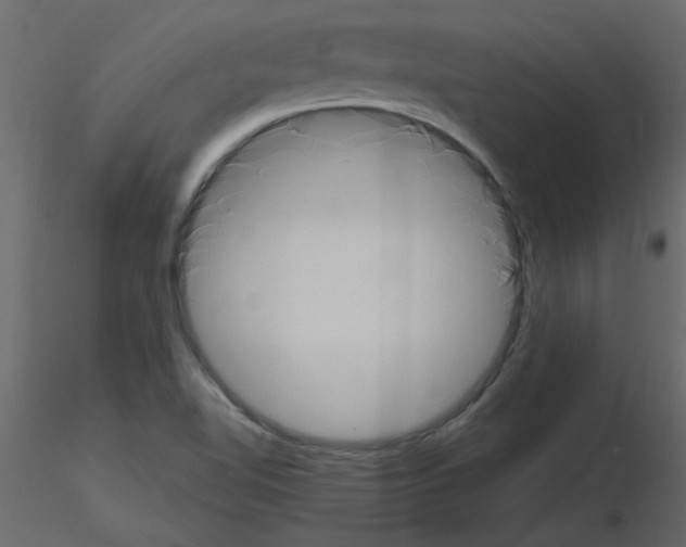 X0000115661510200912241348