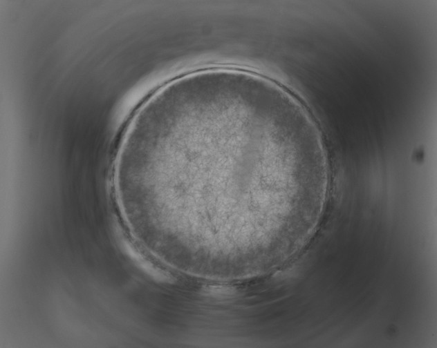 X0000115661511200912241348