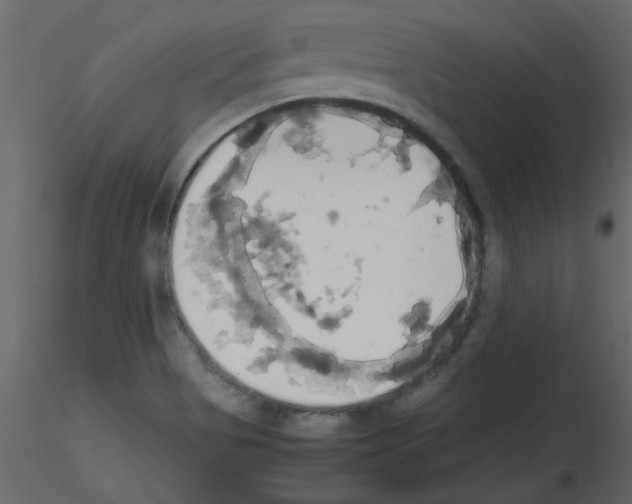 X0000115661513200912241348