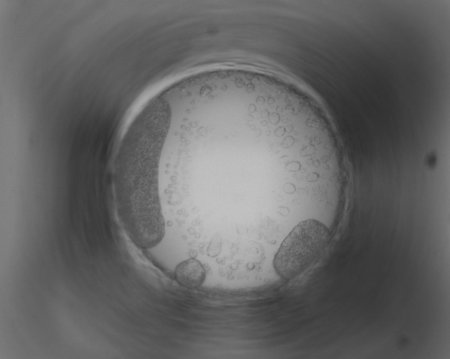 X0000115661514200912241348