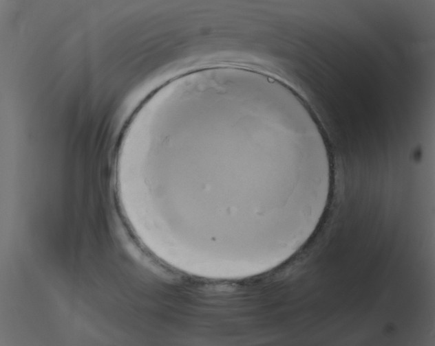 X0000115661515200912241348