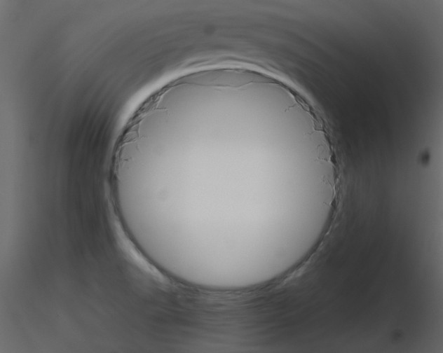 X0000115661518200912241348