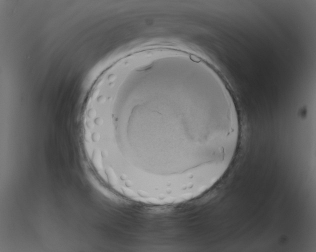 X0000115661519200912241348