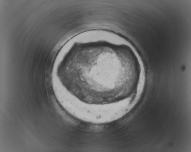 X0000115661521200912241348