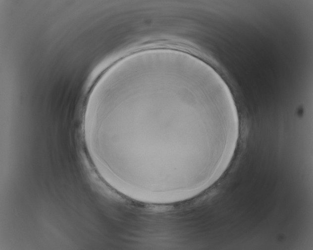 X0000115661522200912241348