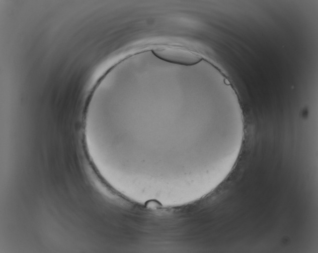 X0000115661523200912241348