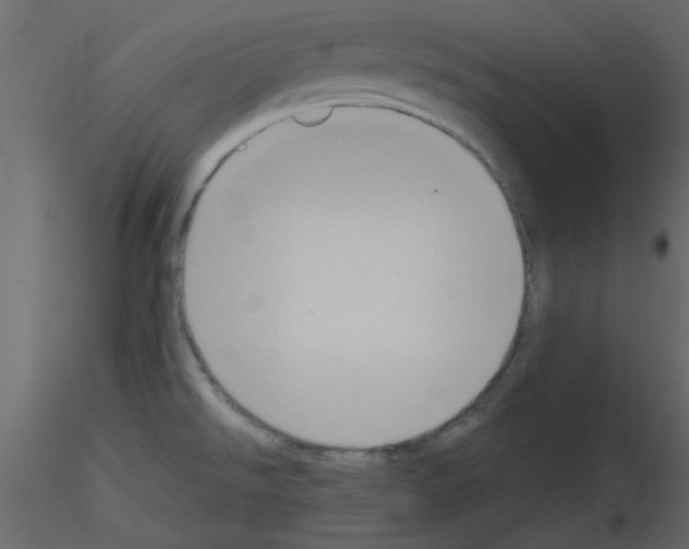 X0000115661526200912241348