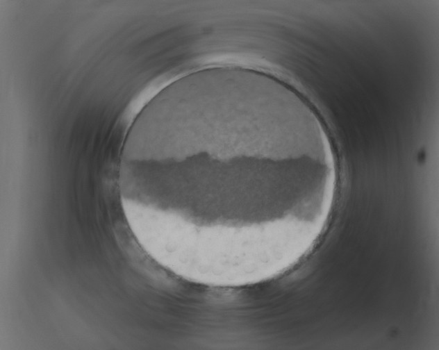 X0000115661529200912241348