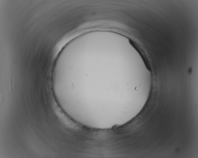 X0000115661530200912241348