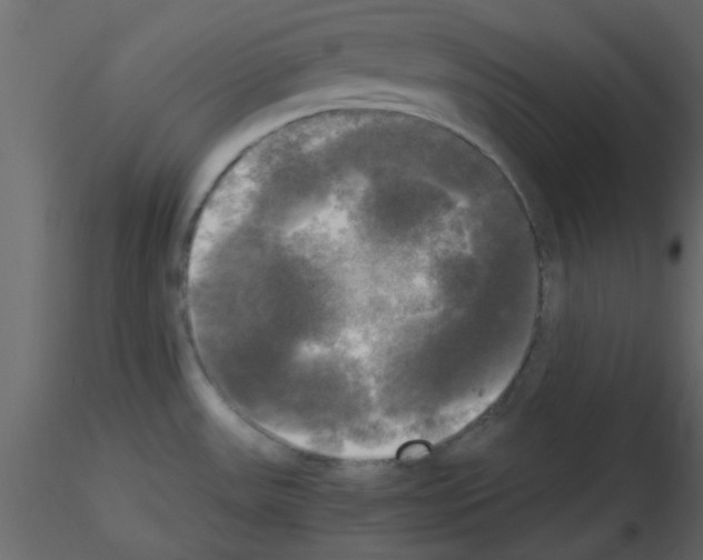 X0000115661531200912241348