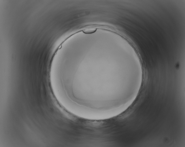 X0000115661533200912241348