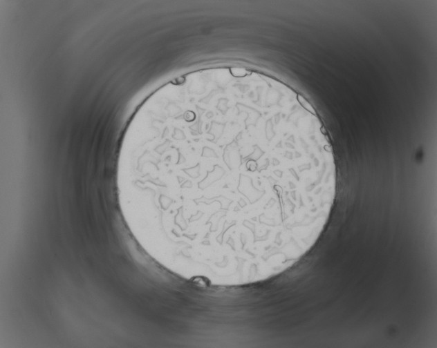 X0000115661534200912241348