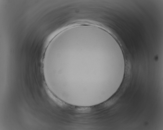 X0000115661535200912241348