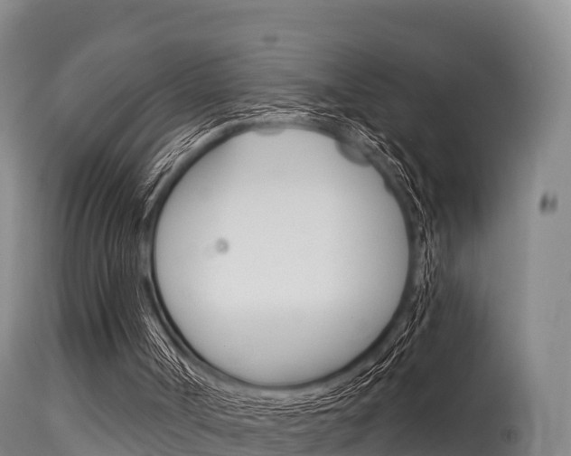 X0000115670002200911121017