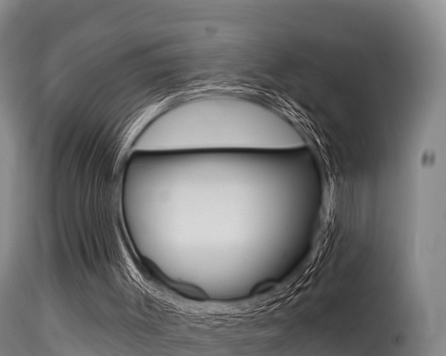 X0000115670003200911121017
