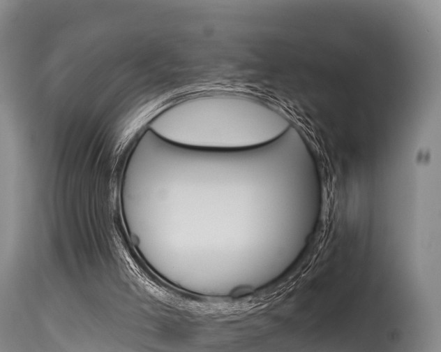 X0000115670005200911121017