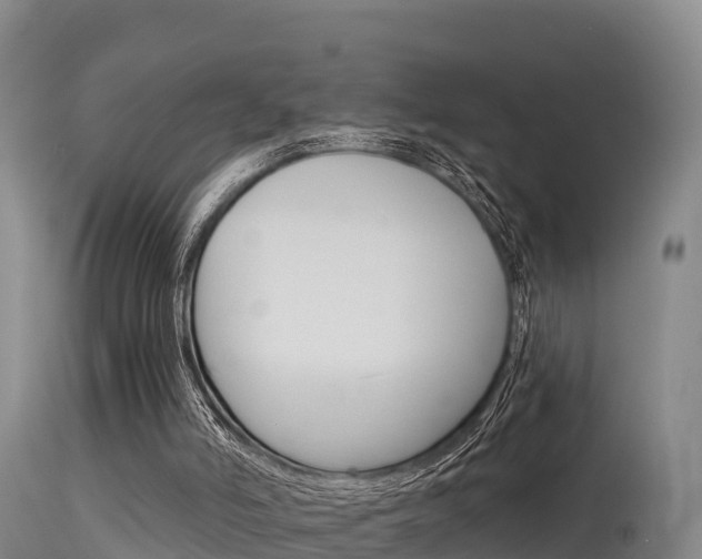 X0000115670006200911121017