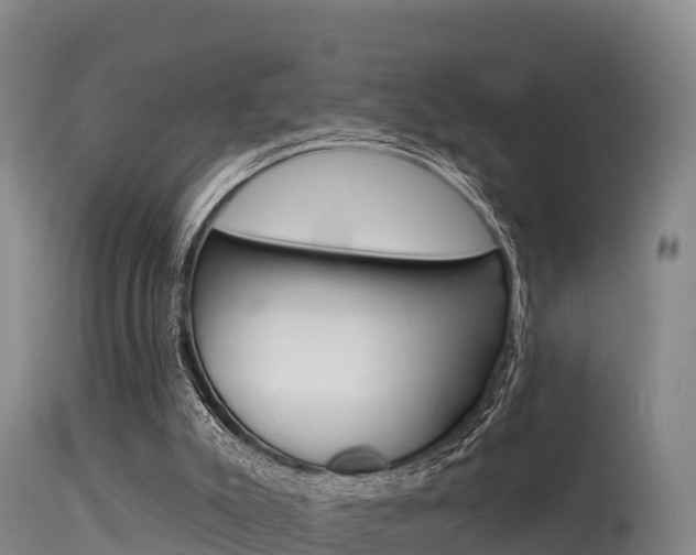 X0000115670007200911121017