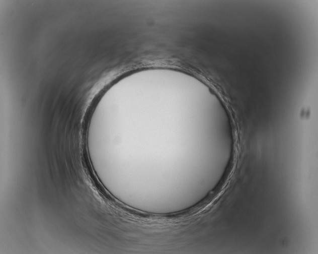 X0000115670008200911121017