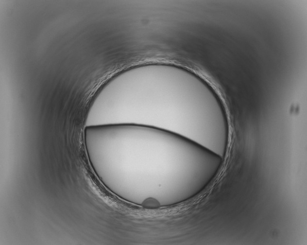 X0000115670009200911121017