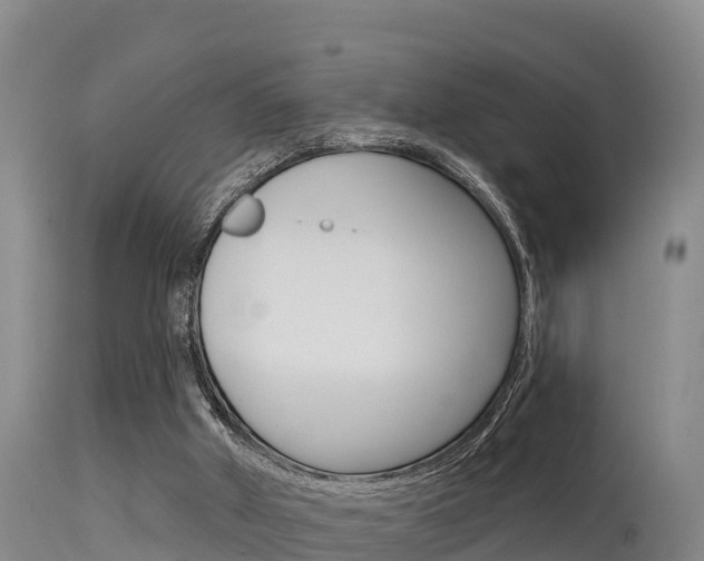 X0000115670010200911121017