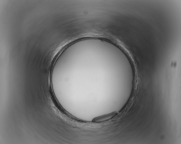 X0000115670011200911121017