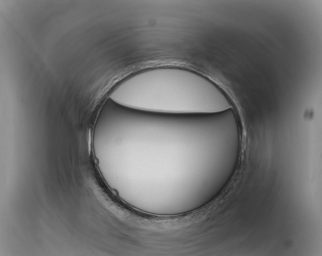 X0000115670013200911121017
