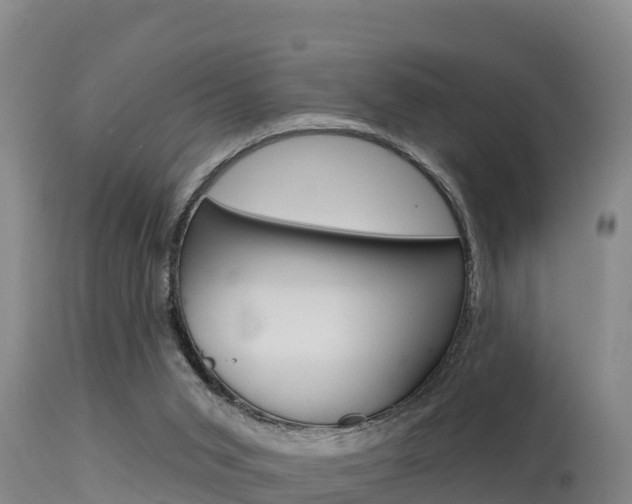 X0000115670015200911121017