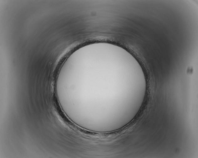 X0000115670016200911121016