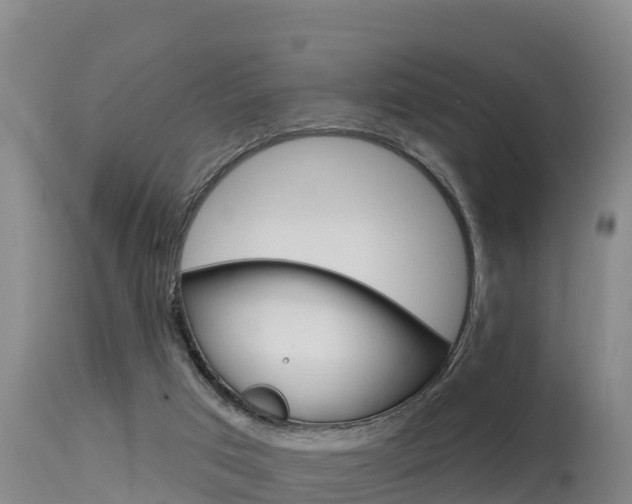 X0000115670017200911121016
