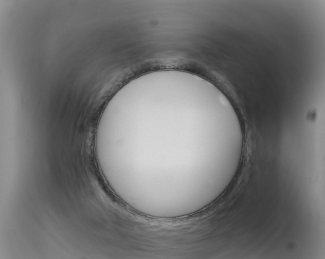 X0000115670018200911121016