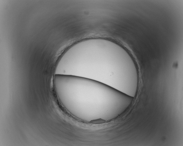 X0000115670019200911121016