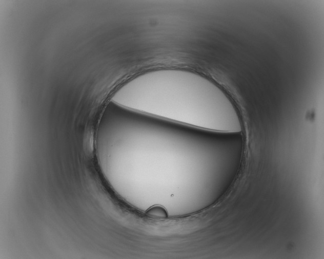 X0000115670021200911121016